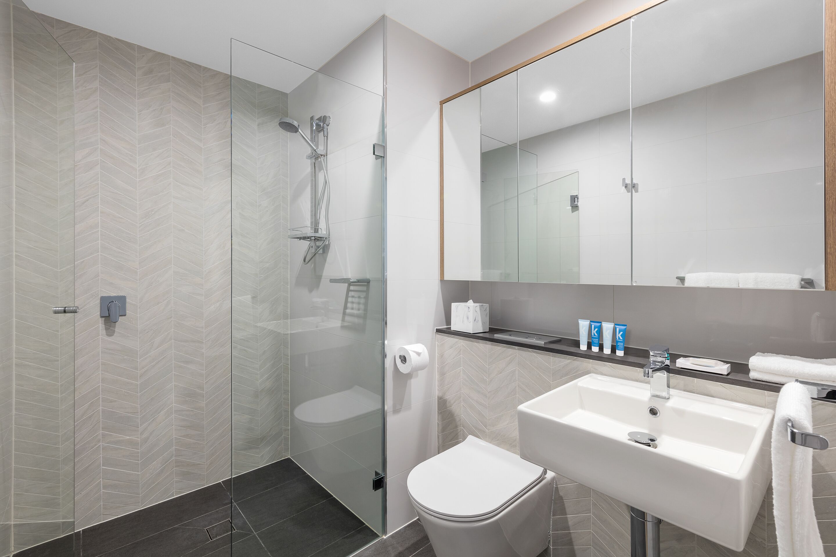 A modern bathroom with a glass-enclosed shower, a white toilet, and a sink with a mirror above.
