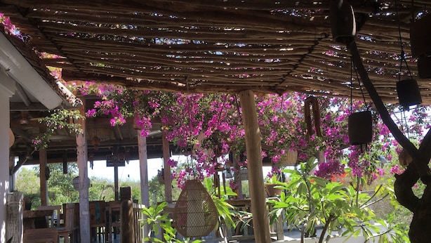 A covered outdoor area with wooden beams and hanging flower baskets. - Padang Padang Breeze (Pecatu)