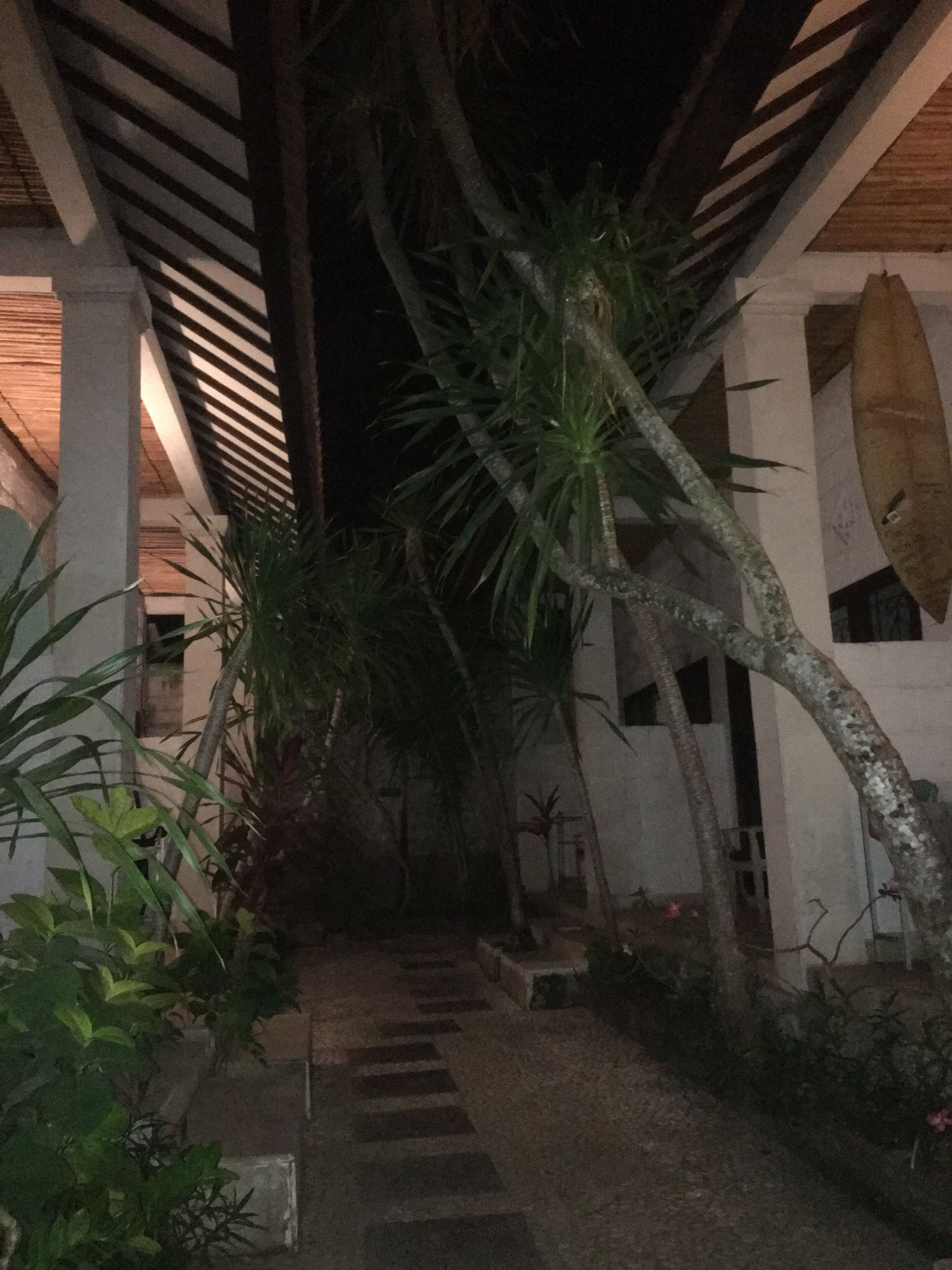 A covered outdoor area with a pathway, palm trees, and a building with a thatched roof.