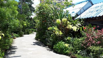 Un sendero bordeado por abundante vegetación y un edificio con techo azul.