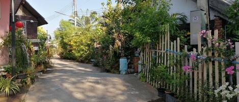 A narrow street flanked by residential buildings with visible power lines and a variety of plants and flowers.