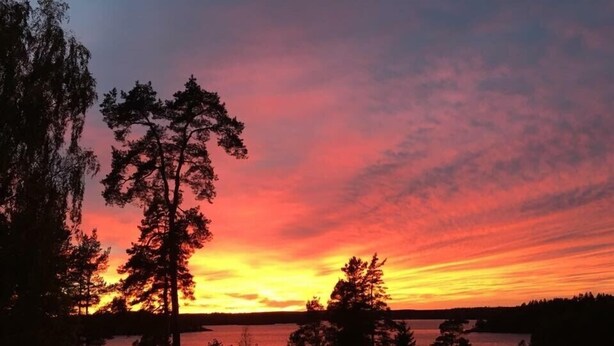 Un atardecer sobre un lago con árboles silueteados contra el cielo.