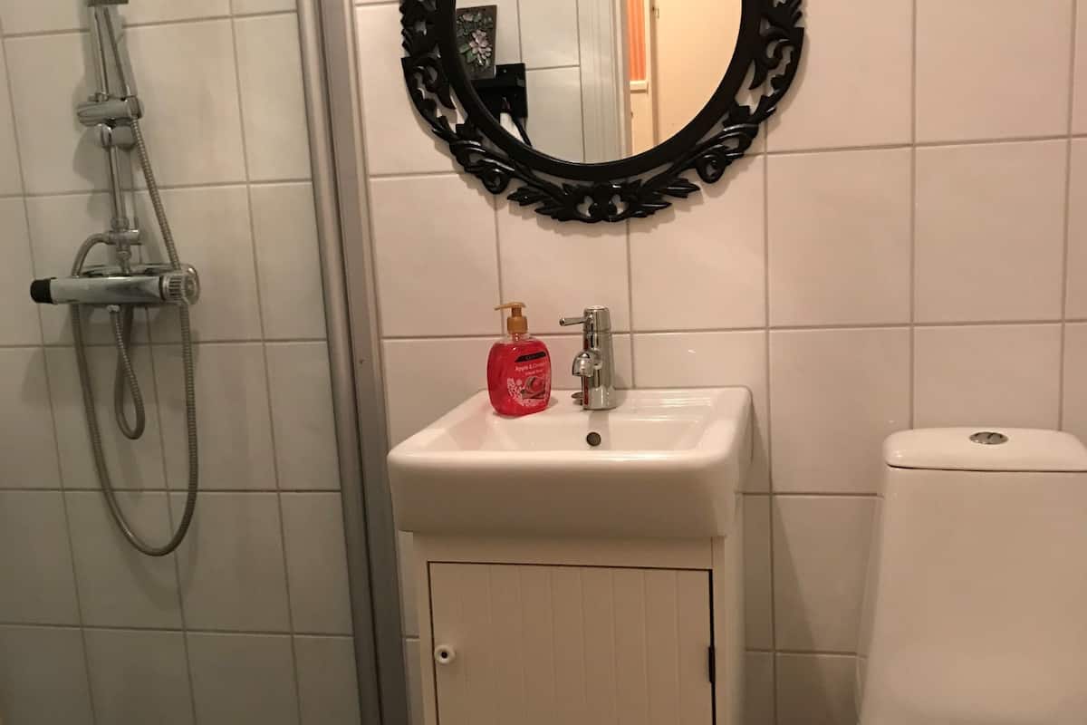 shower, free toiletries, hair dryer, towels