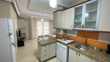 Family Apartment, 2 Bedrooms, Kitchen | Private kitchen