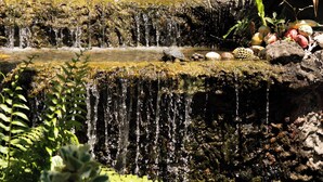 A multi-tiered waterfall with surrounding tropical vegetation.