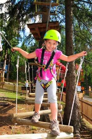 Ropes course (team building) - FERIENHAUS-TOELDERERHOF (Strassen)