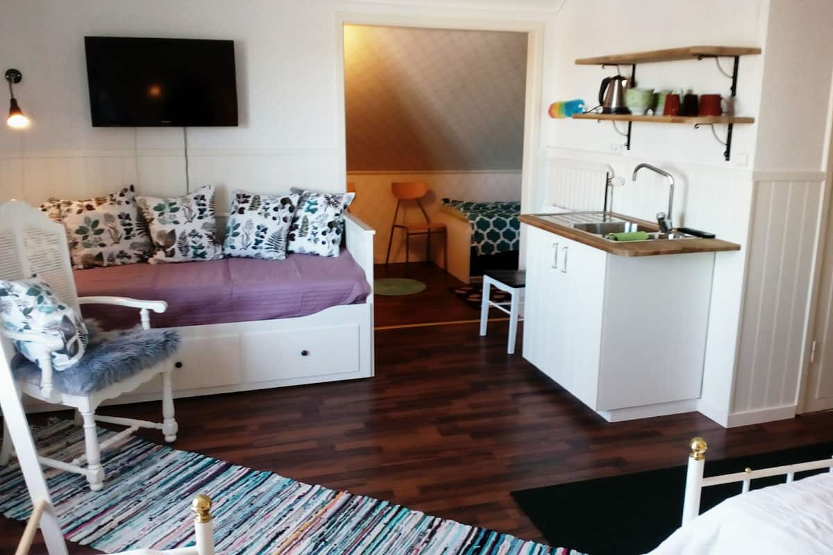 A compact room with a bed, a small kitchenette, a TV, and a chair.