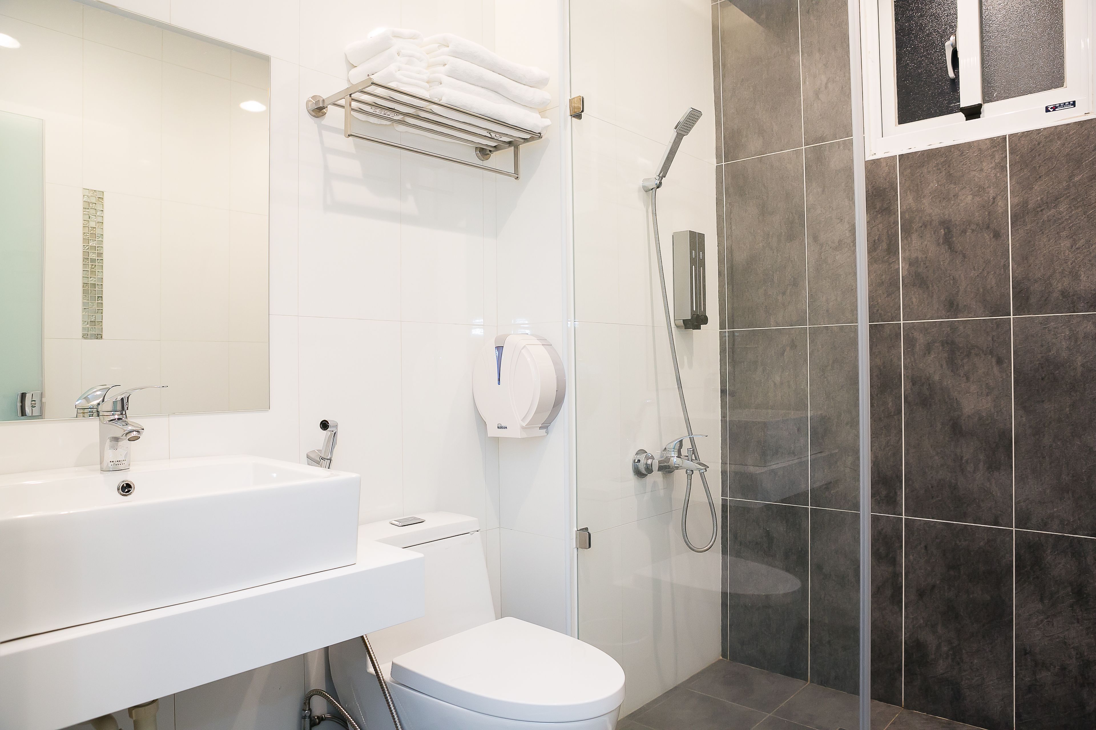 Hair dryer, slippers, bidet, towels