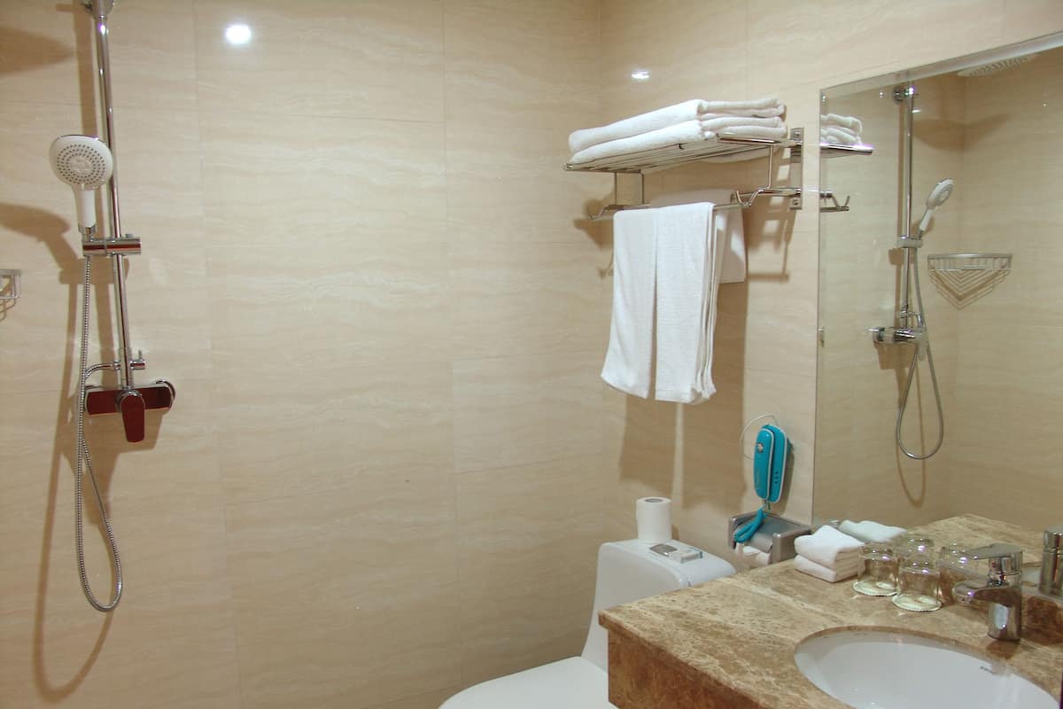 Shower, free toiletries, hair dryer, slippers