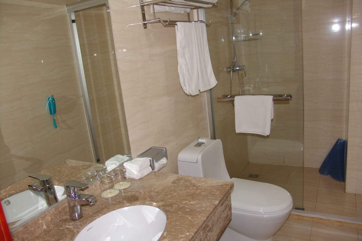 shower, free toiletries, hair dryer, slippers