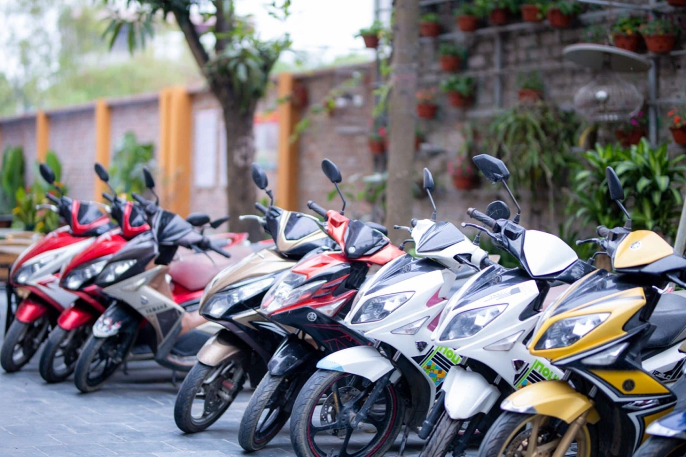 A row of motorcycles parked outdoors, with a brick wall and potted plants in the background.