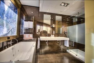 Suite | Baño | Ducha, artículos de higiene personal gratuitos y secador de pelo