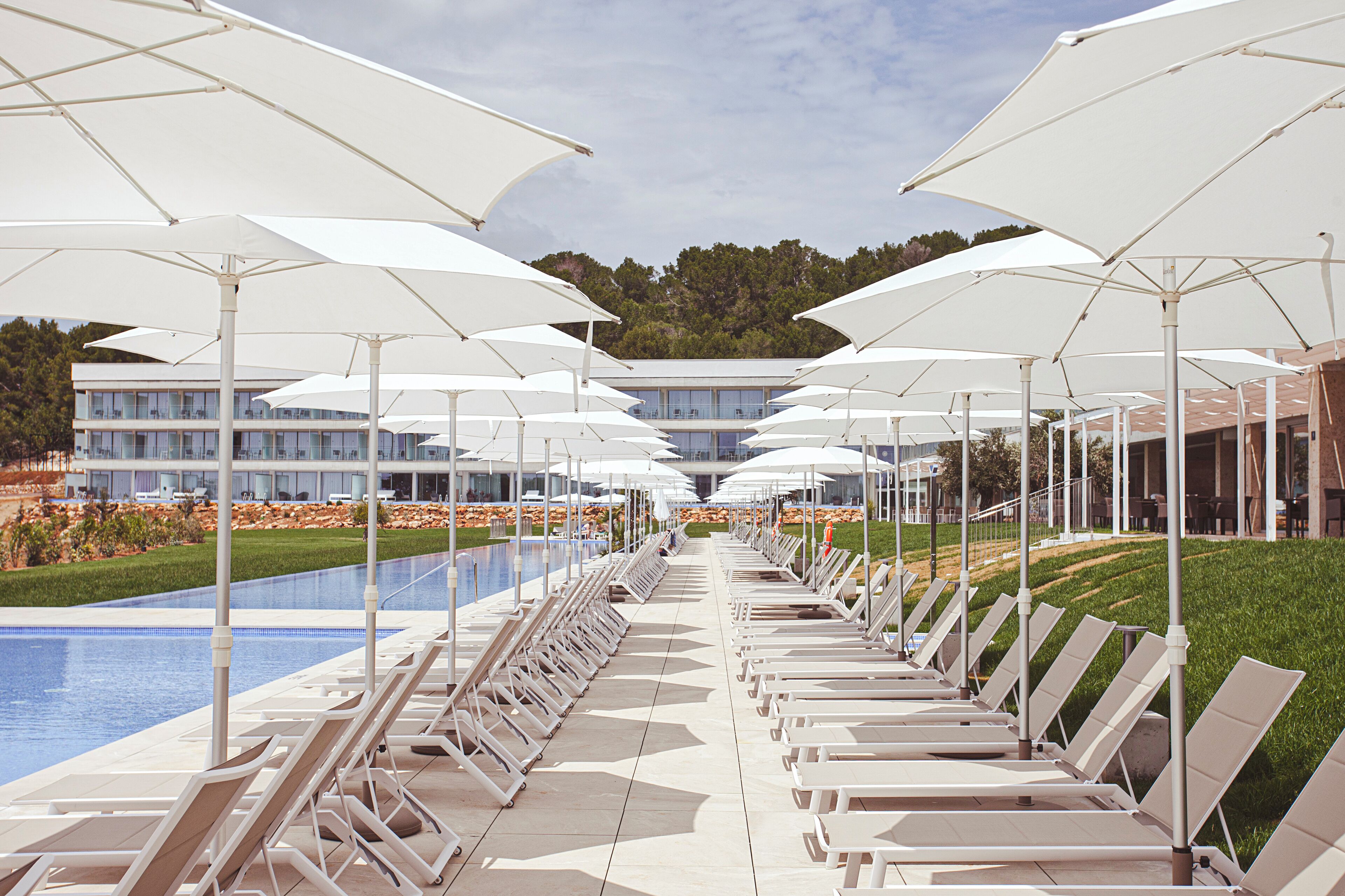 Foto - Seth 55 Santo Tomas