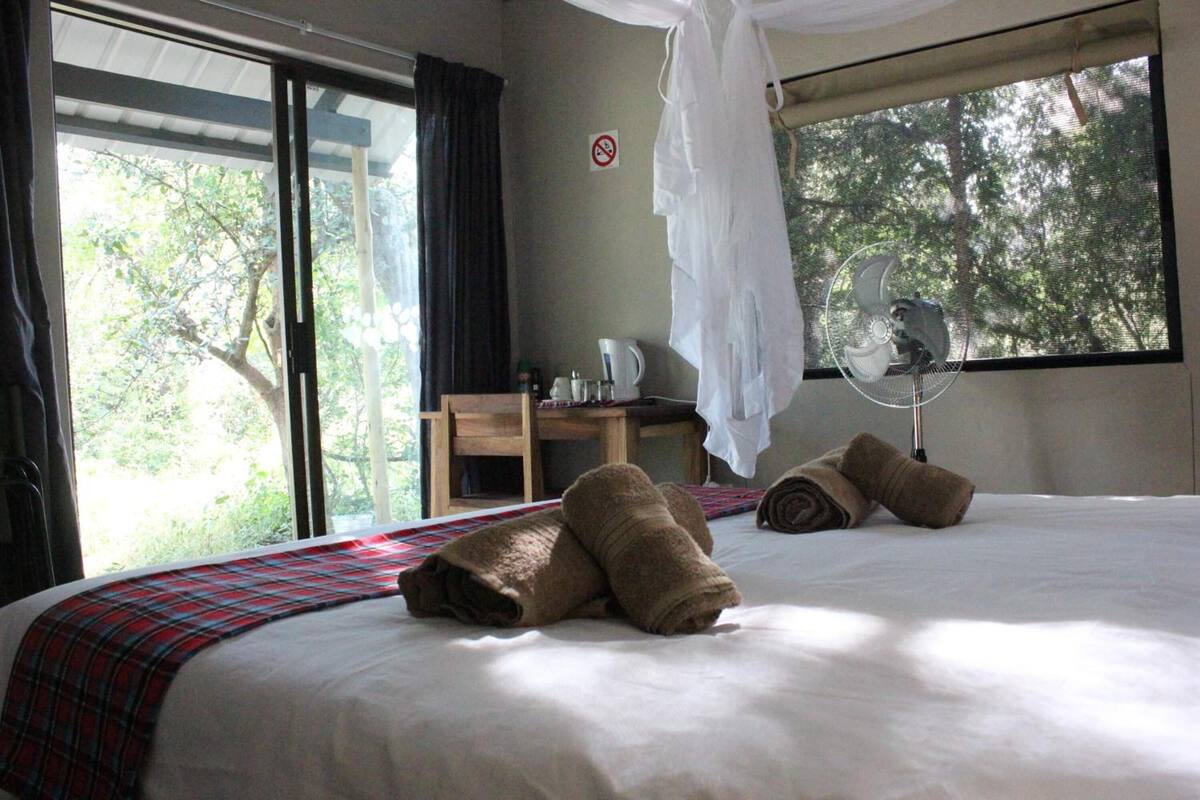 A hotel room with a bed, a desk, a chair, a fan, and a view of trees through the window.