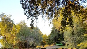 Un área de comedor al aire libre con una larga mesa de madera dispuesta para una comida, rodeada de sillas con cojines azules.