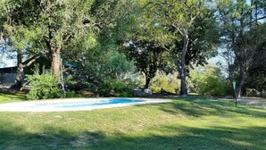Un patio trasero con piscina, rodeado de árboles y un césped.