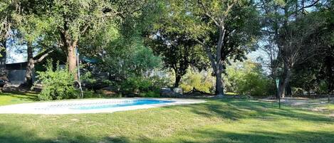 A backyard with a swimming pool, surrounded by trees and a grassy lawn.