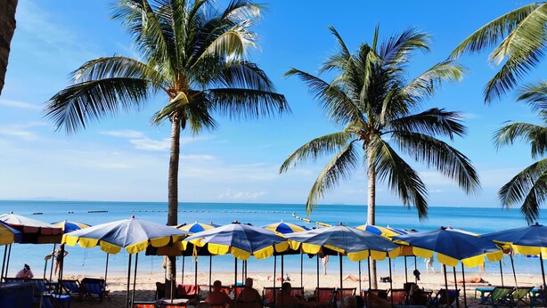 A beach with palm trees, umbrellas, and beach chairs. - Jellyfish Hostel (Pattaya)