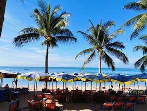 A beach with palm trees, umbrellas, and beach chairs. - Jellyfish Hostel (Pattaya)