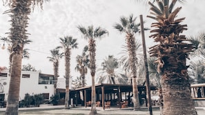 Garden - Selvi Beach Hotel (Bodrum)