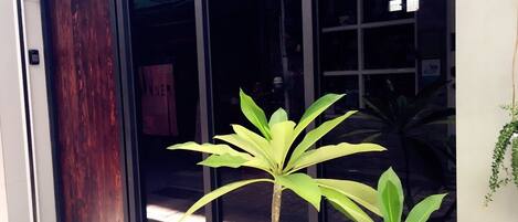 مدخل المنشأة