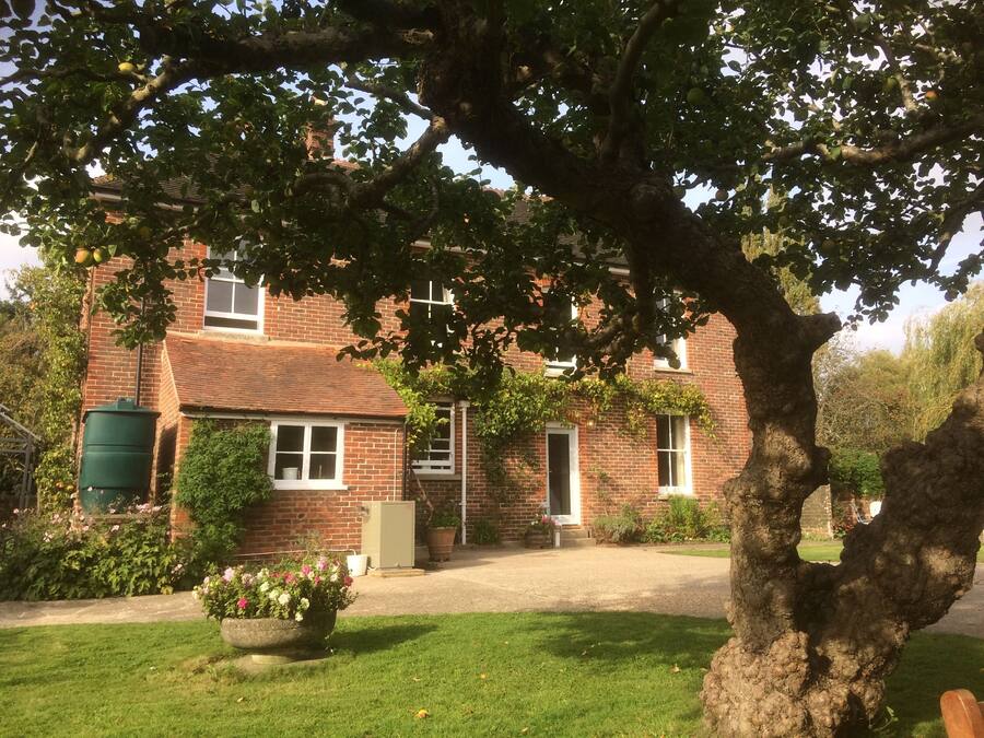 Ein Ziegelhaus mit Garten, ein großer Baum im Vordergrund und ein grüner Fass.