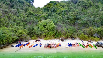 Una playa con kayaks alineados y gente reunida en la arena.