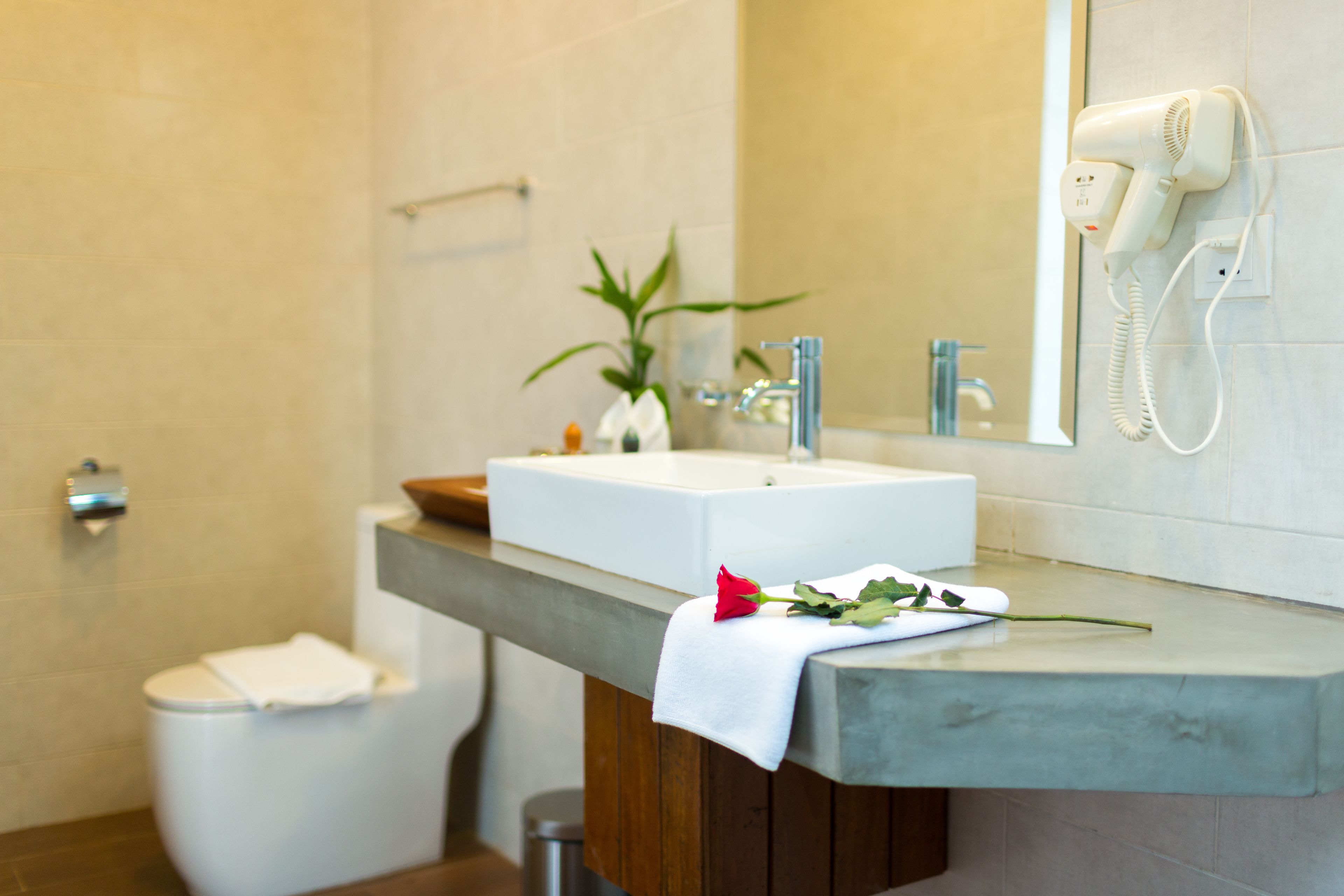 Photo - Vihara The City of Temples