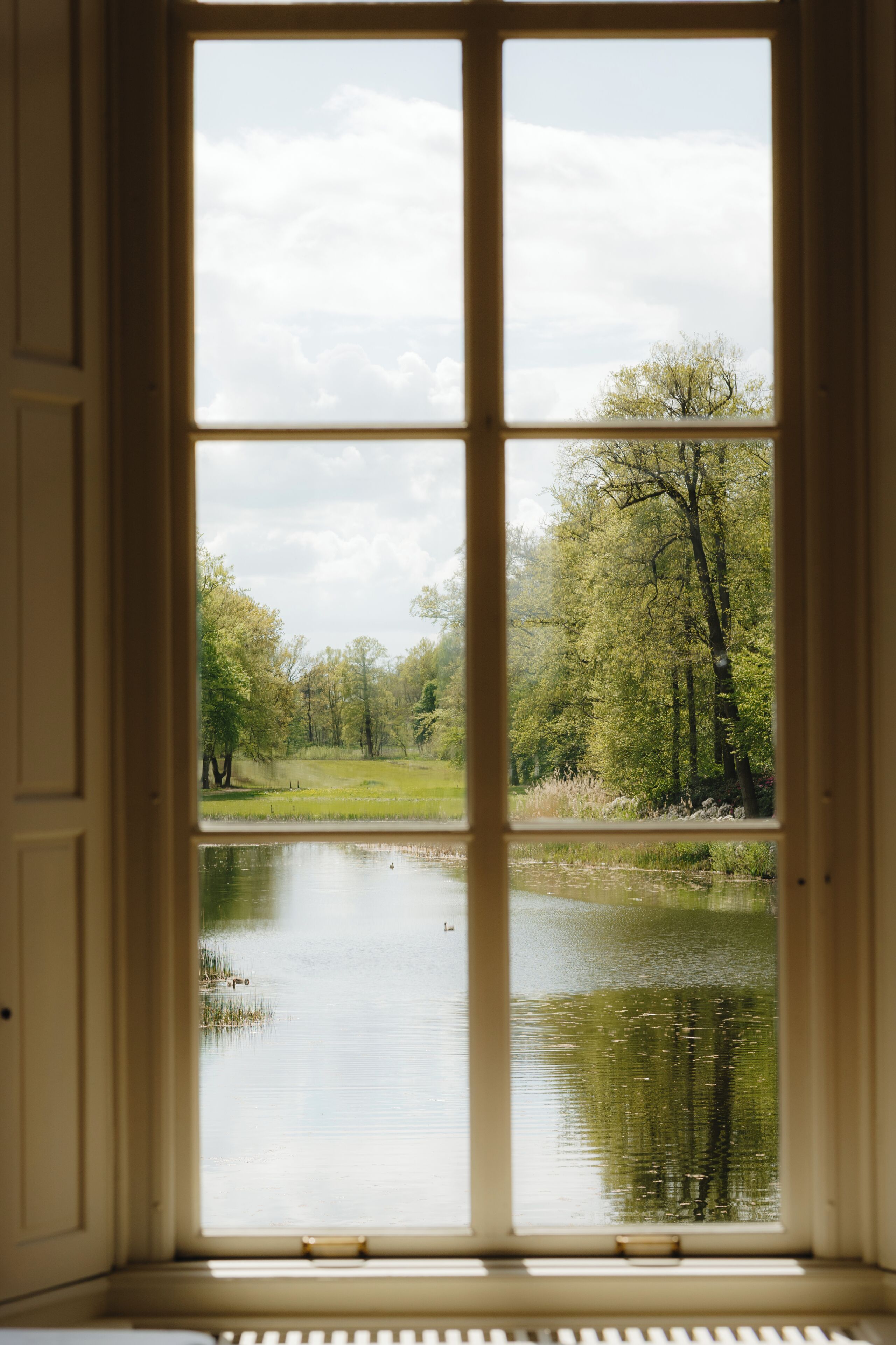 A window with a view of a pond and trees.