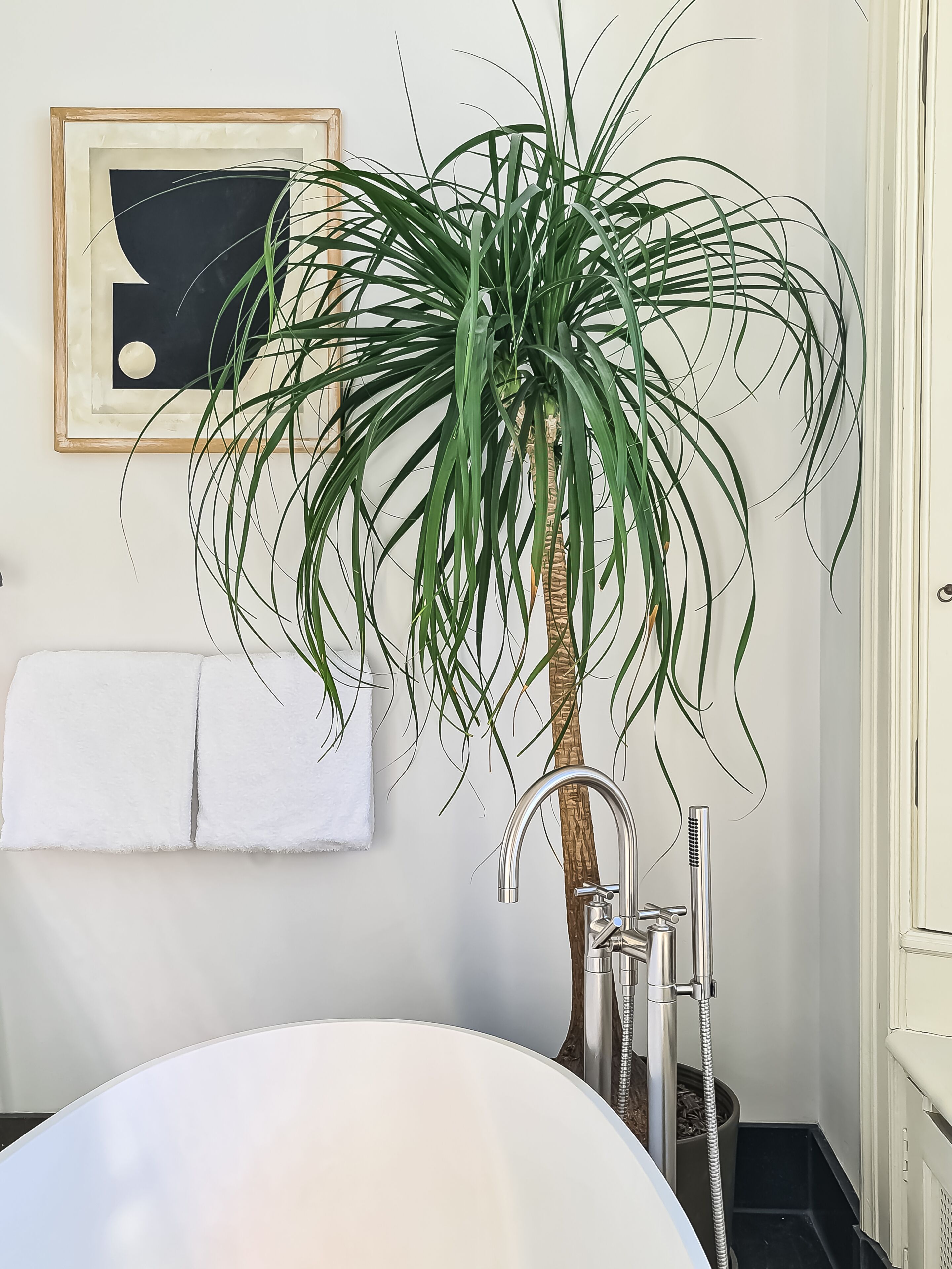 Une salle de bain avec une baignoire, une plante en pot, un tableau encadré et un porte-serviettes.