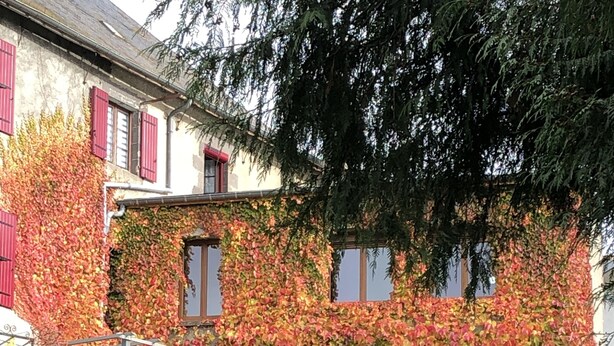 Un bâtiment dont les murs sont recouverts de lierre et qui possède un escalier menant à l’entrée.