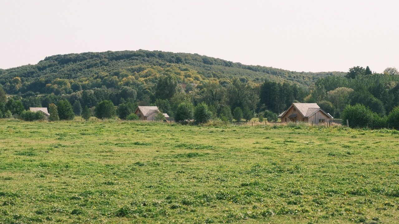 A rural landscape with a field, two wooden barns, and a forested hill in the background.