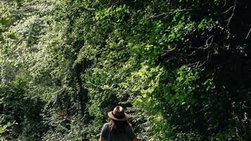 Una persona in sella a una bicicletta su un sentiero sterrato, circondata da fitta vegetazione.