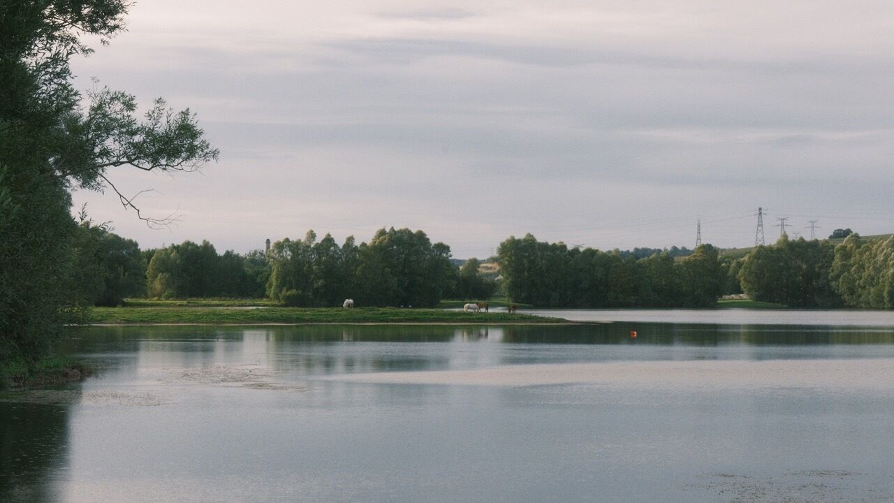 A calm lake with trees and a distant power line structure.