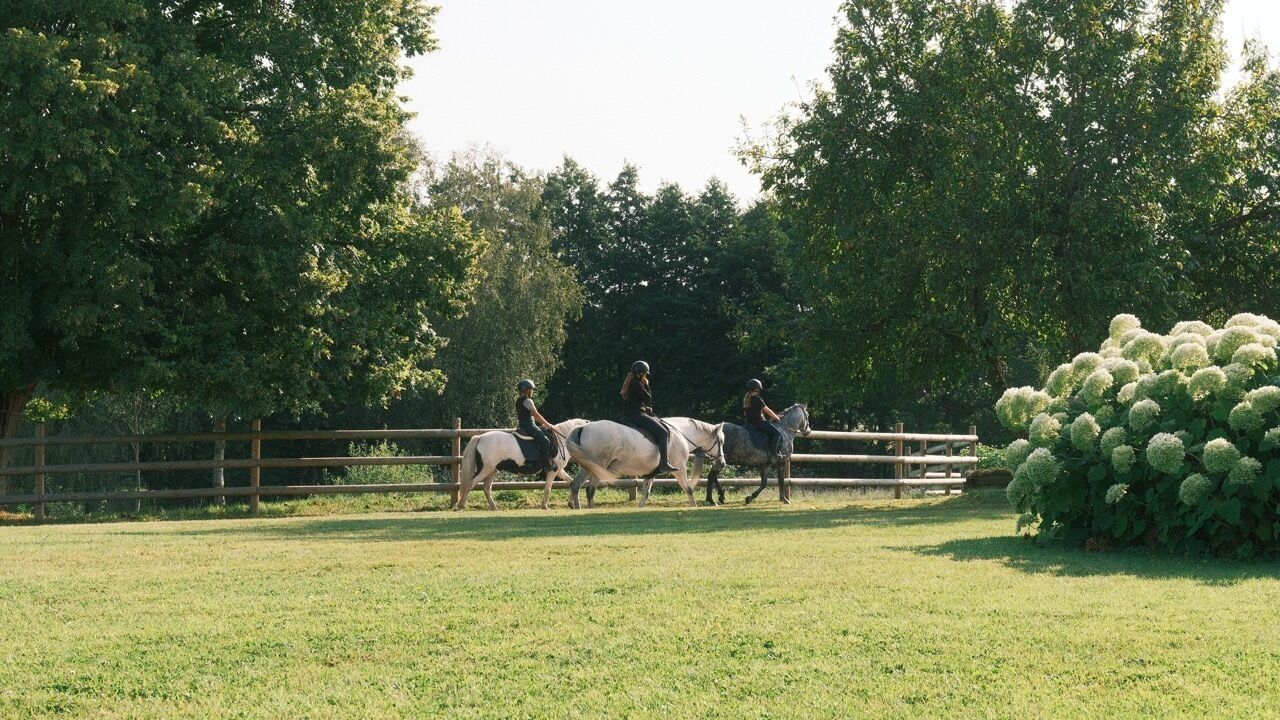 A fenced outdoor area with horses and riders.