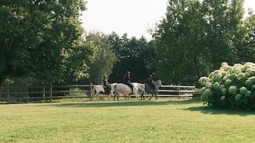 A fenced outdoor area with horses and riders.