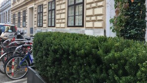 A building with classical architecture, featuring symmetrical windows and a hedge in front. - Heart of Vienna Harmoniegasse (Vienna)