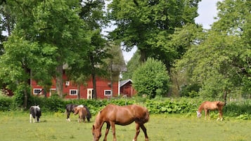 A red barn with white trim and a sloped roof, surrounded by lush green trees and grass.