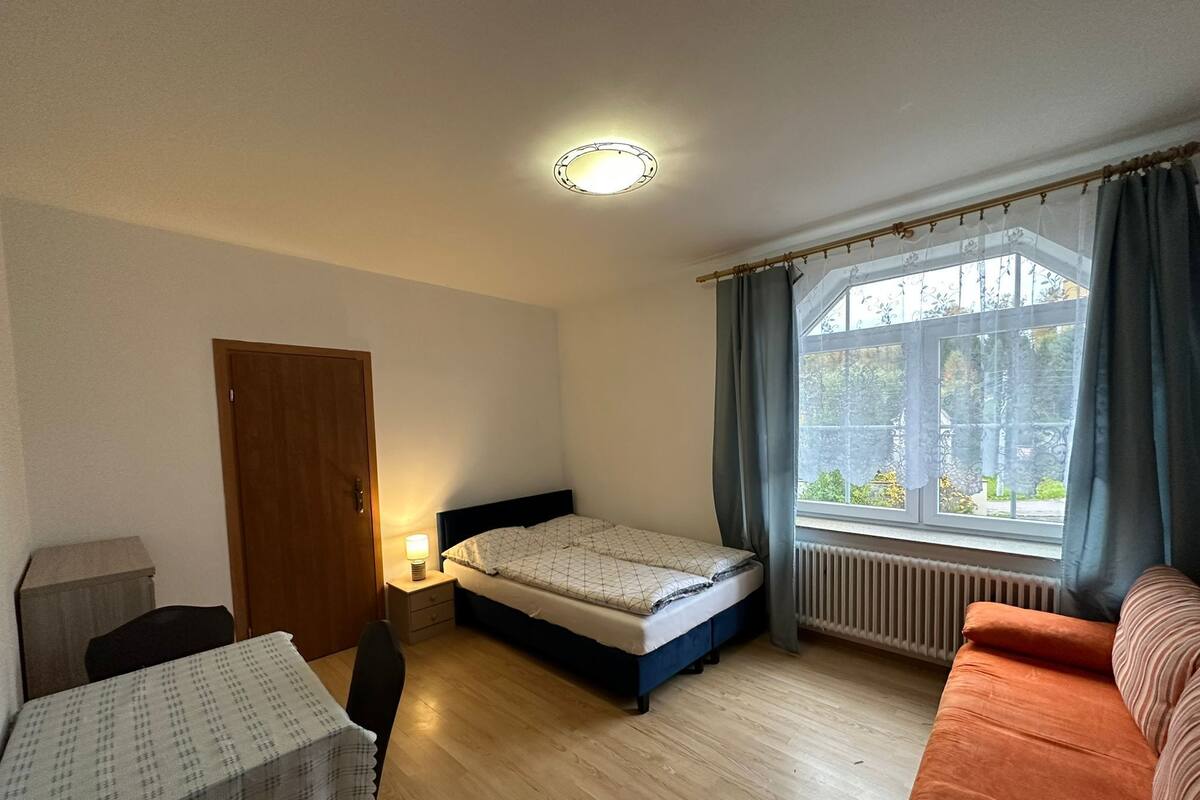 A room with a bed, a table, a chair, a sofa, a window with curtains, and a radiator.