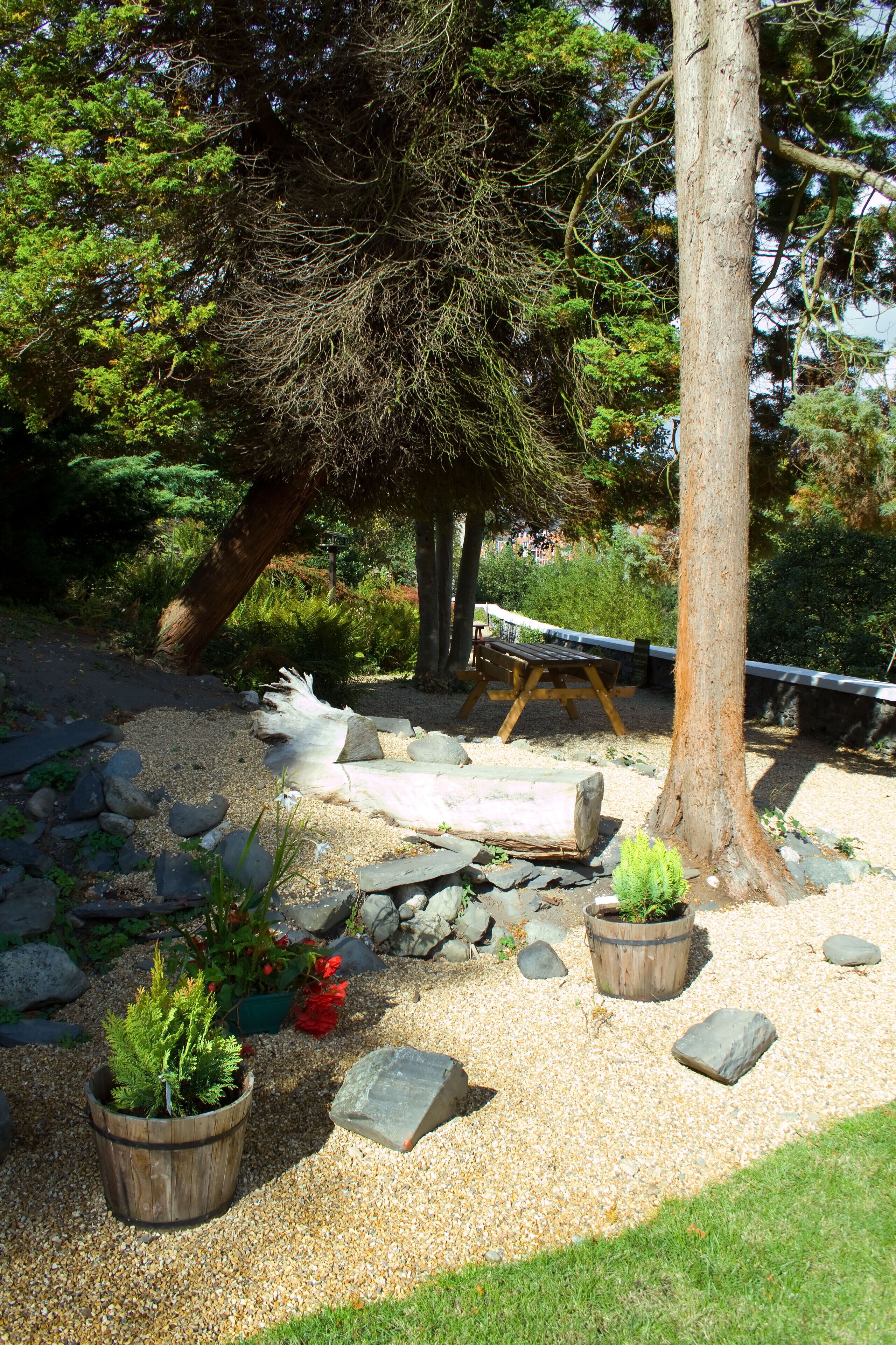 A garden with a wooden bench, a picnic table, and a small wooden planter with greenery.