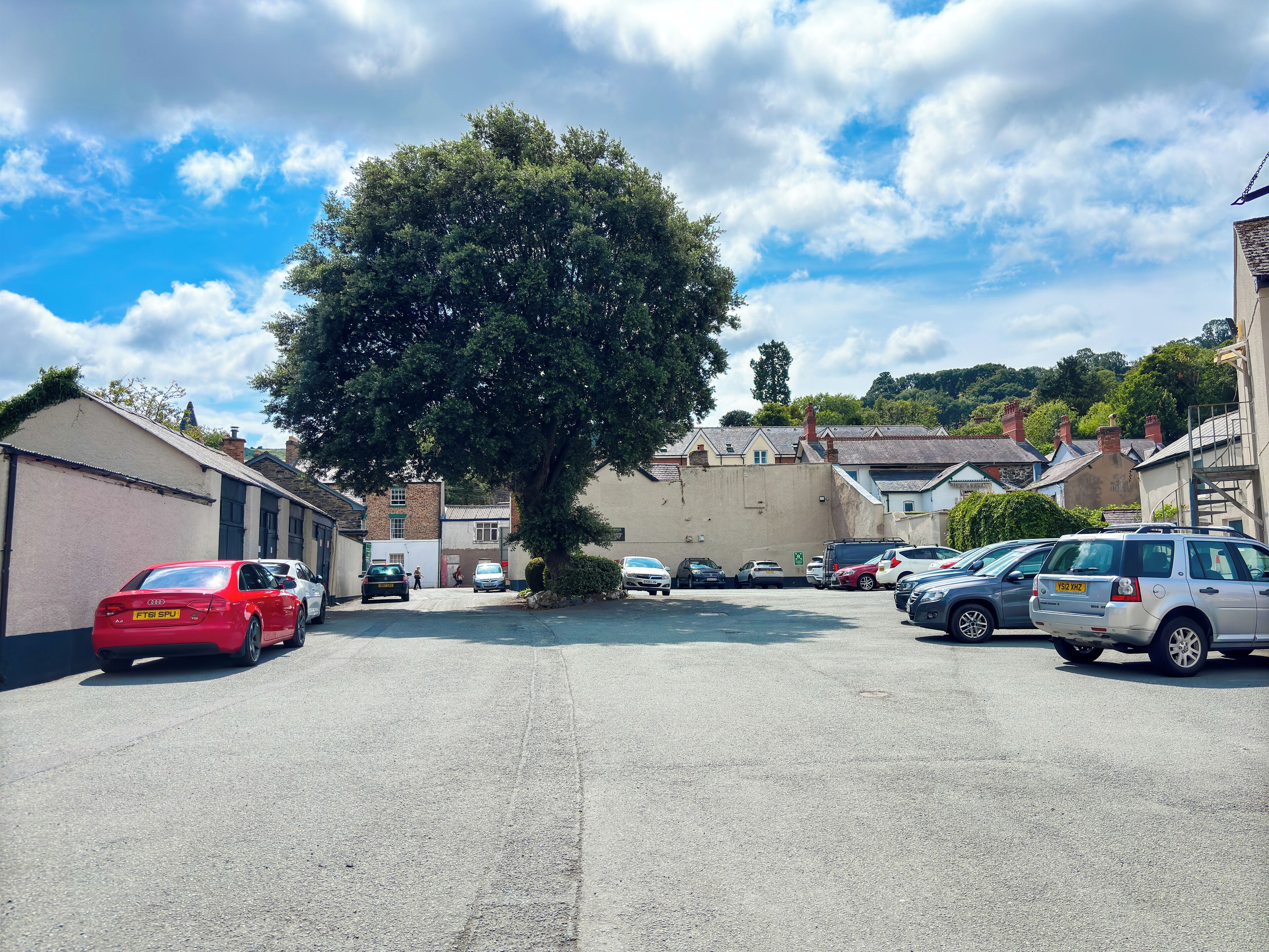 Un estacionamiento con varios autos, un árbol grande y edificios al fondo.