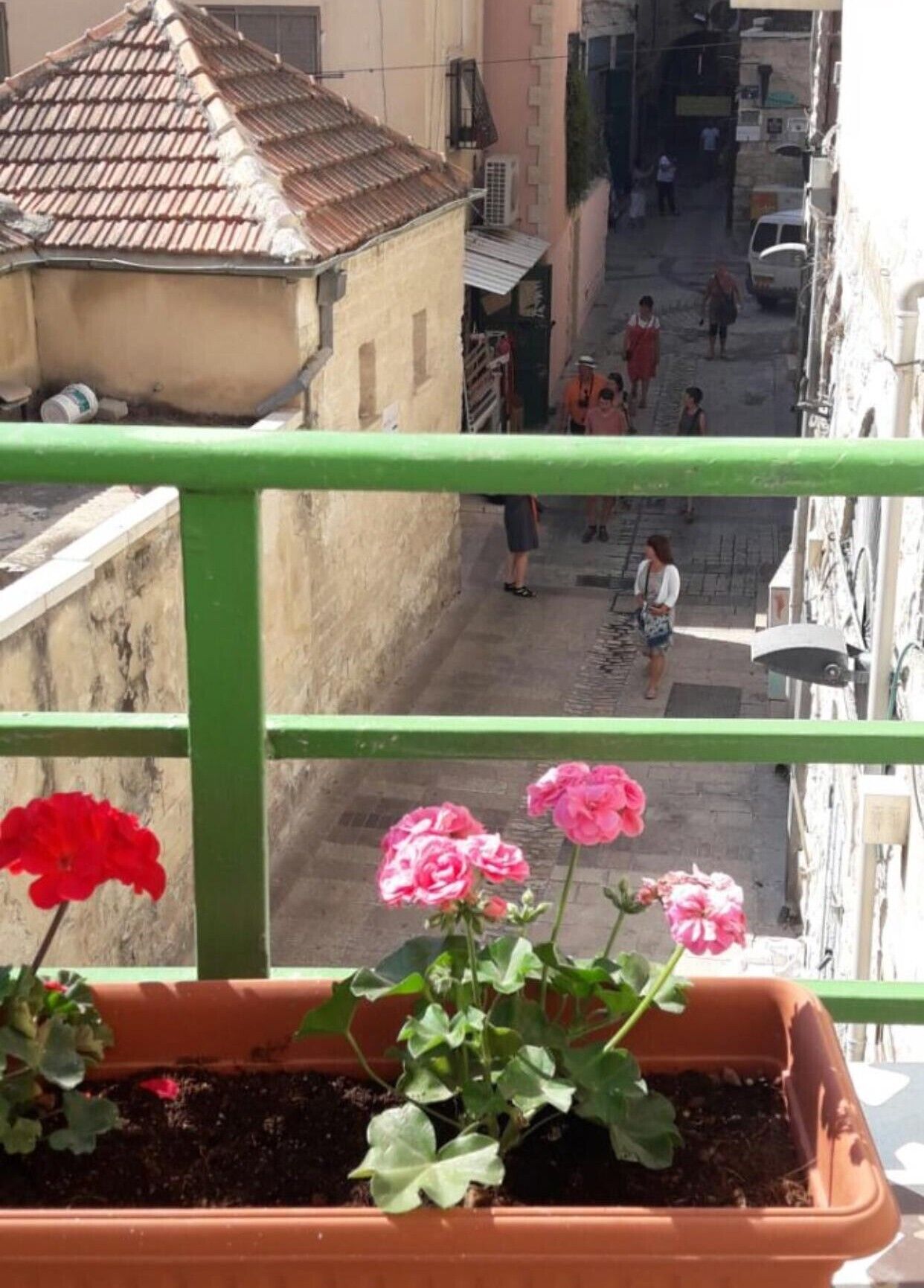 A balcony with a view of a narrow street, a potted plant with pink flowers, and a red flower.