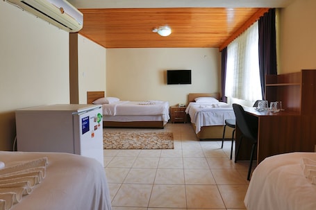 Minibar, in-room safe, desk, iron/ironing board