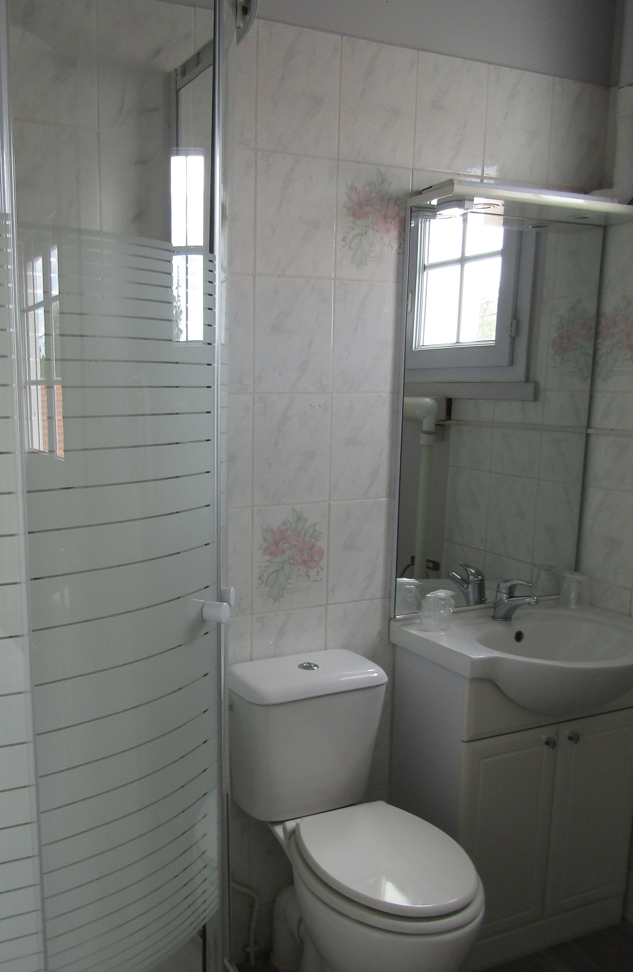 Ein Badezimmer mit Toilette, Waschbecken und Spiegel.