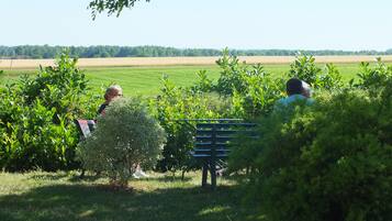 A bench in a lush green area with a view of a field and trees in the distance.