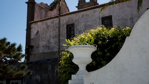 A white urn with plants on a curved structure, a building with a weathered facade and a palm tree in the background. - Azores Horta Apartments (Horta)