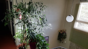 Eine Treppe mit Geländer, einem Blumentopf und einer Pendelleuchte.