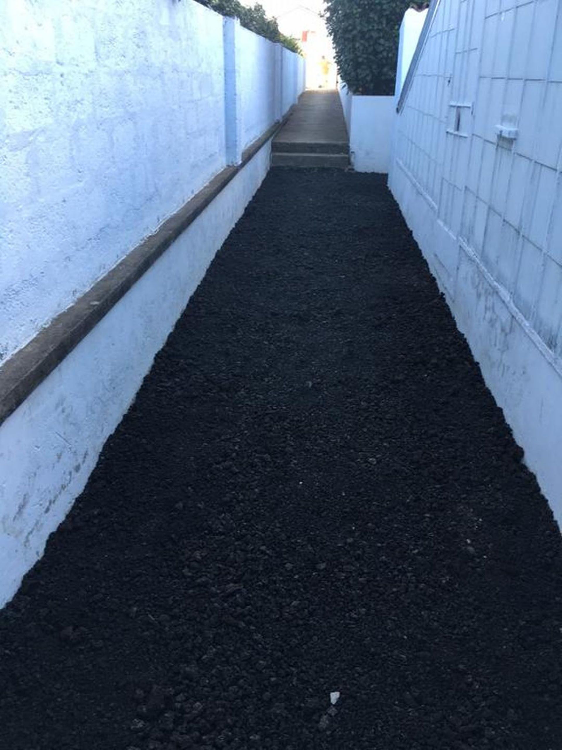 Een smalle steeg met een betonnen pad, begrensd door witte muren en een haag.