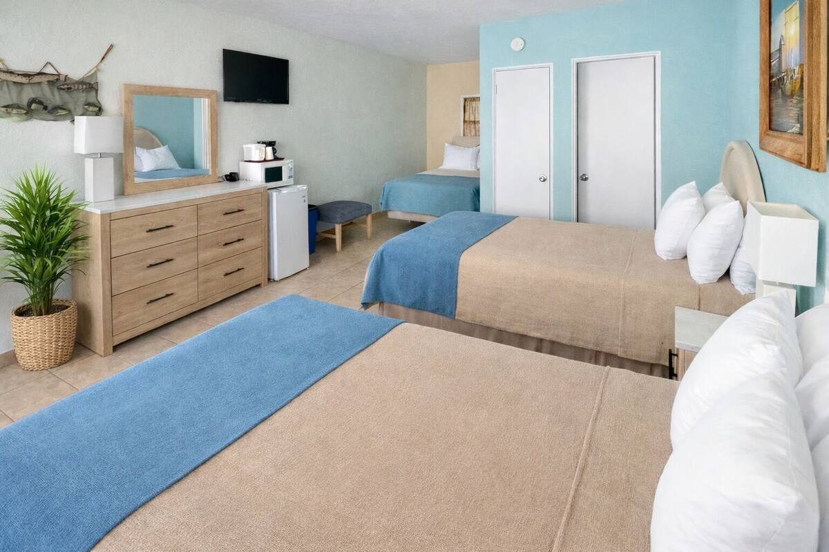 A hotel room with two beds, a desk, a chair, a TV, a dresser, and a plant.