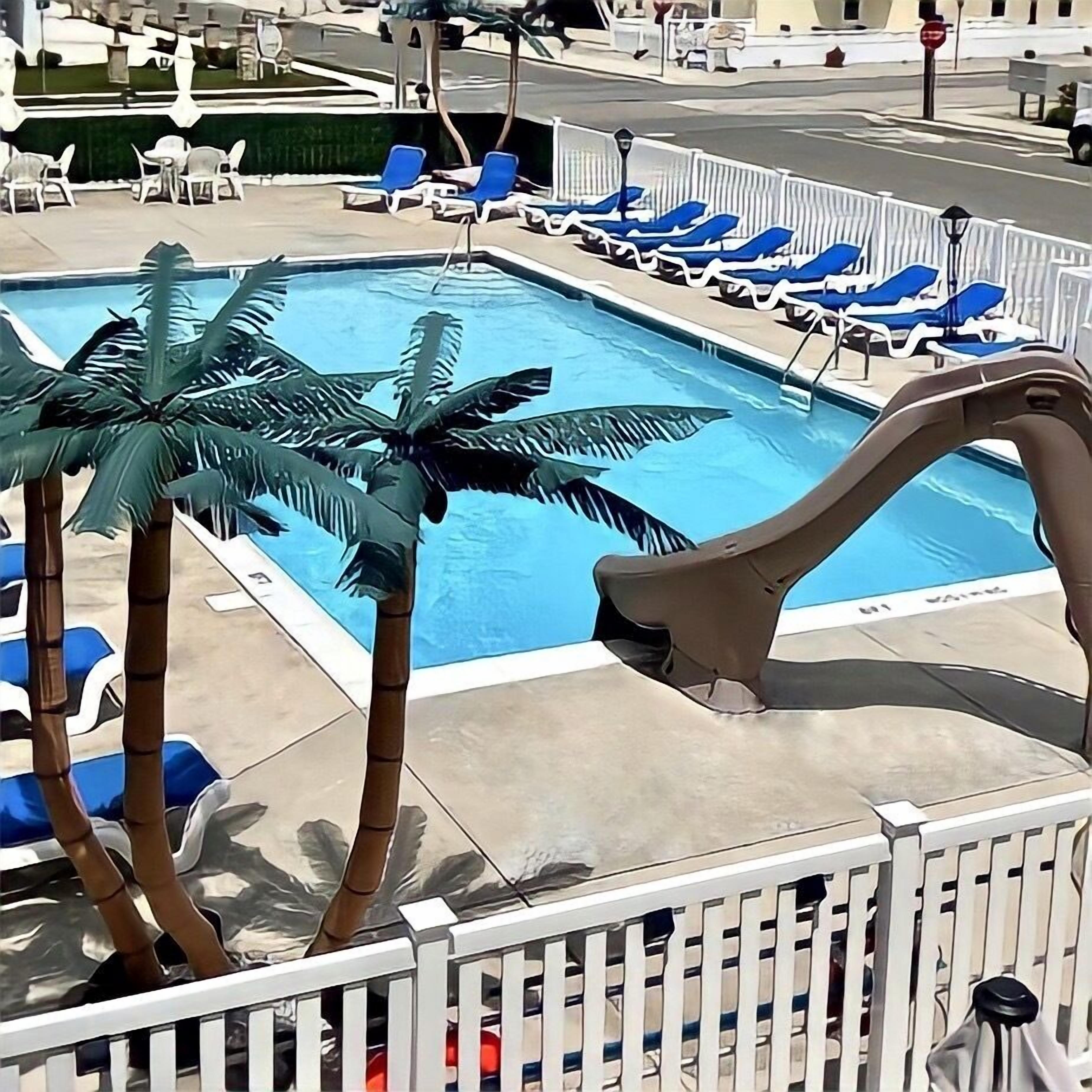 A swimming pool with lounge chairs and palm trees.